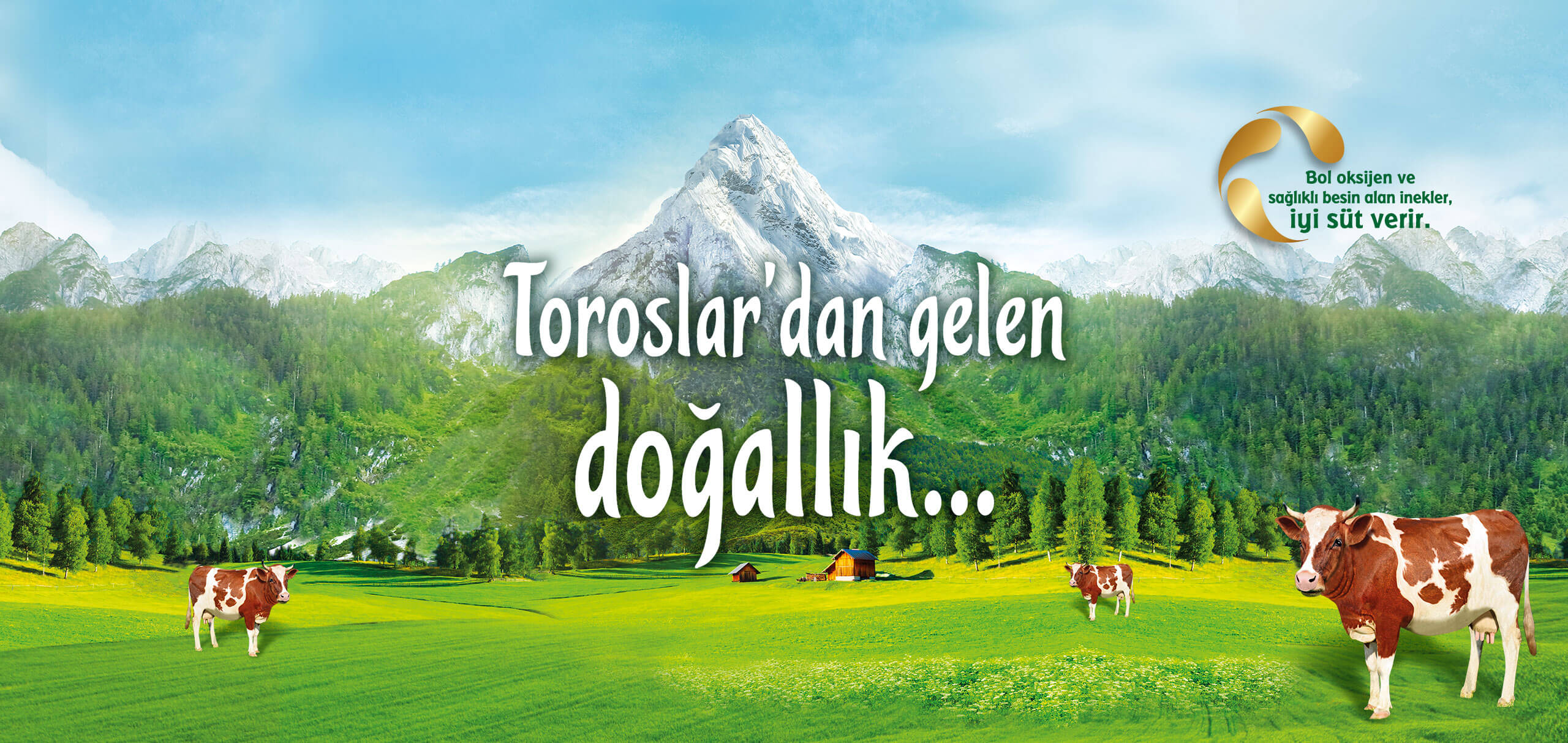 Doğallığın ve Saflığın Merkezi Toroslar…